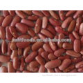 dark red kidney beans from China